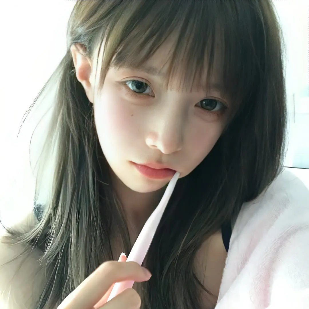 夏日的玫瑰